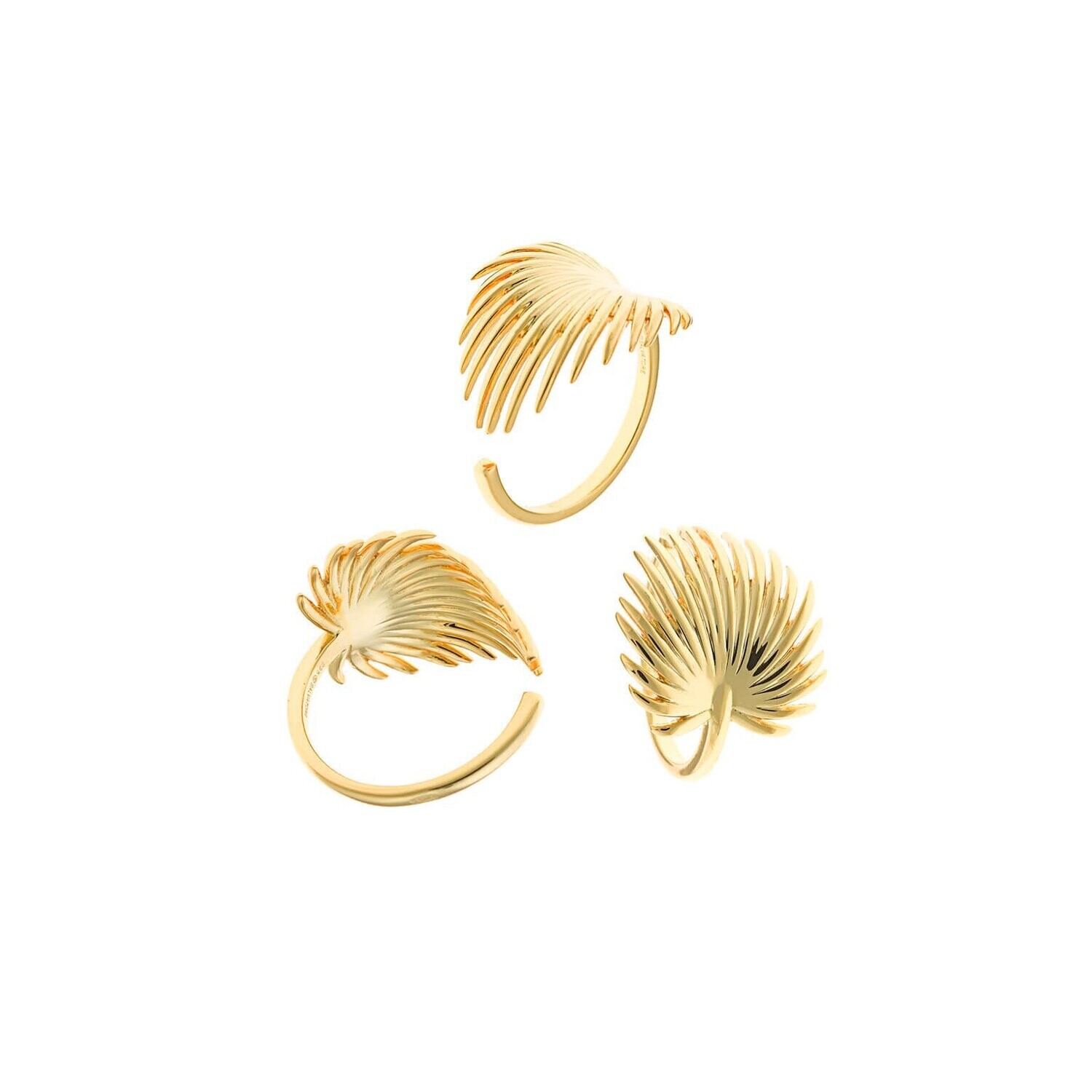 ANILLO SALVATORE