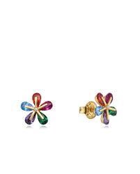 PENDIENTES VICEROY