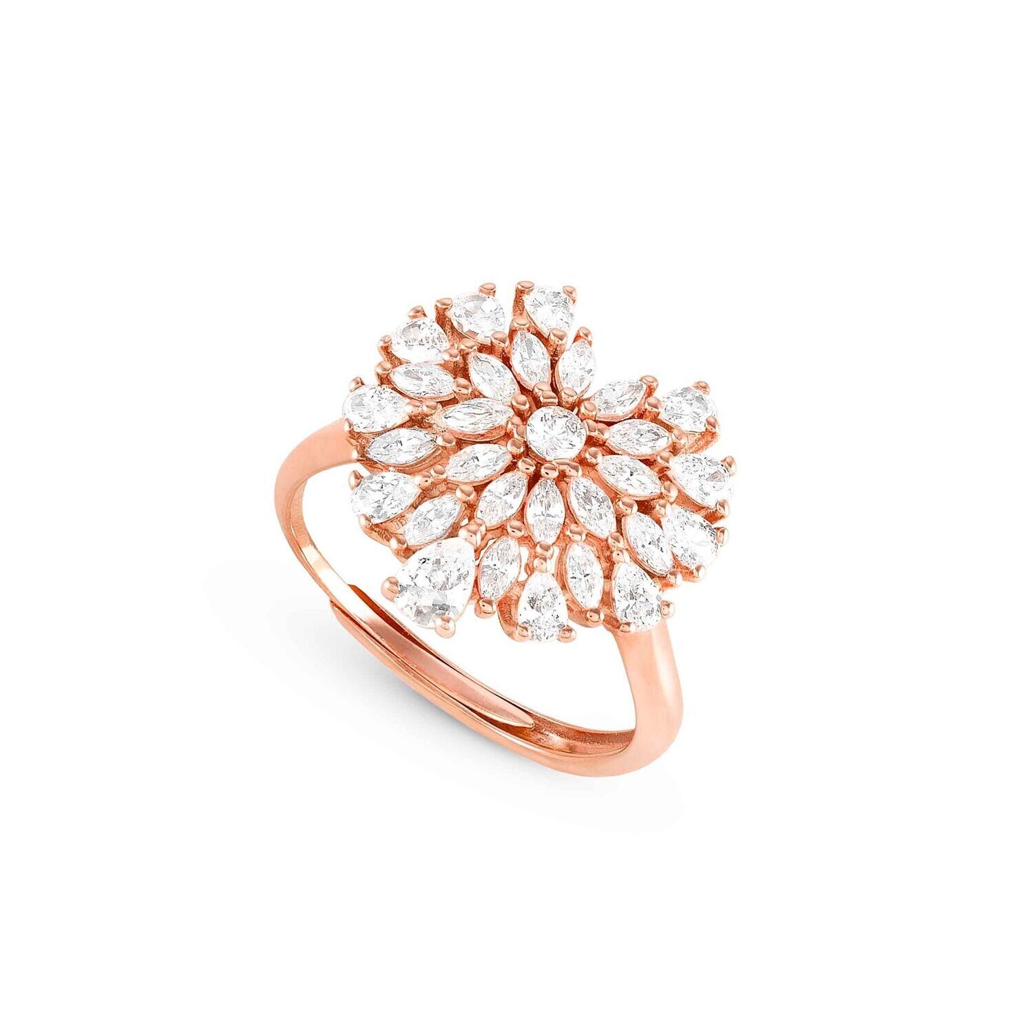 ANILLO NOMINATION