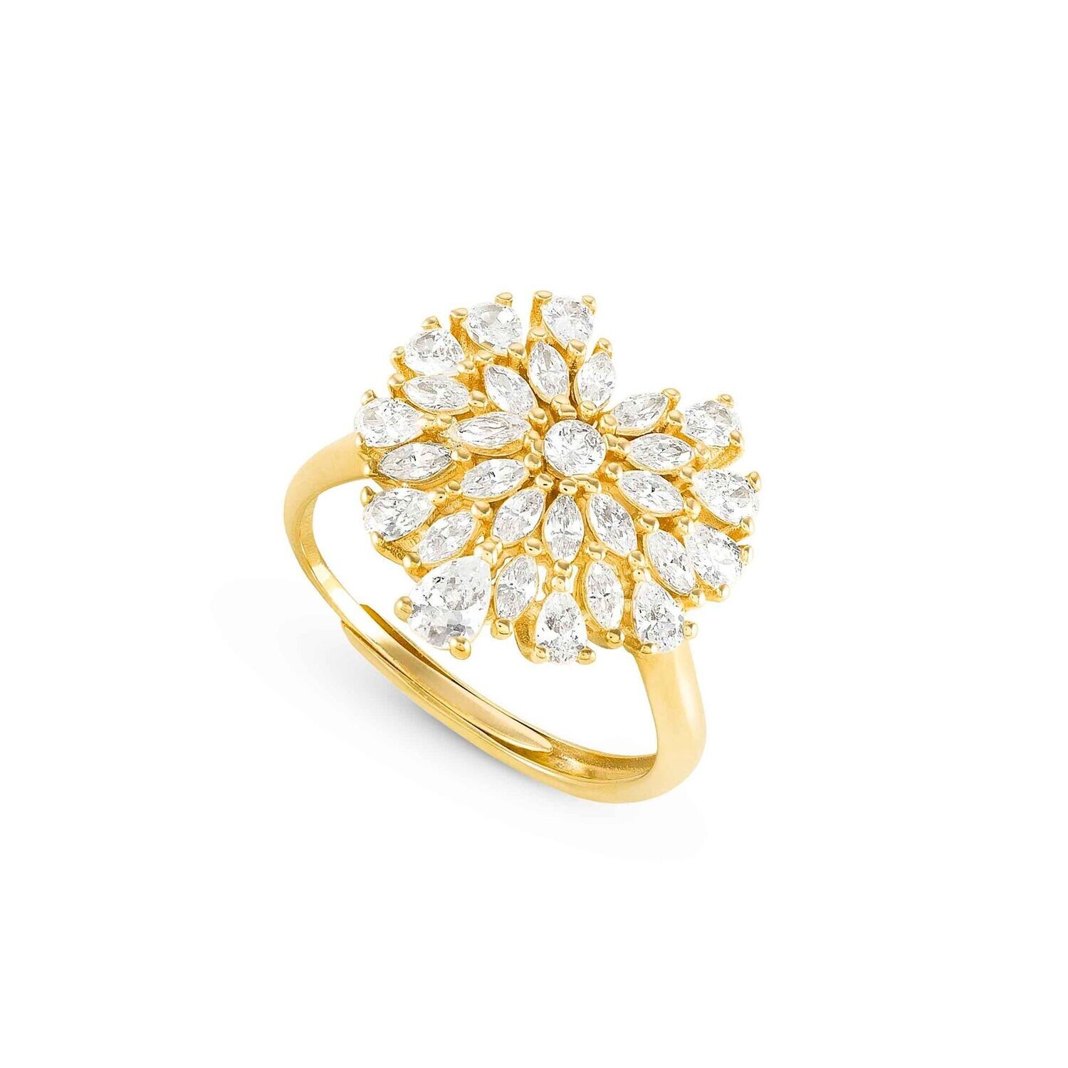ANILLO NOMINATION