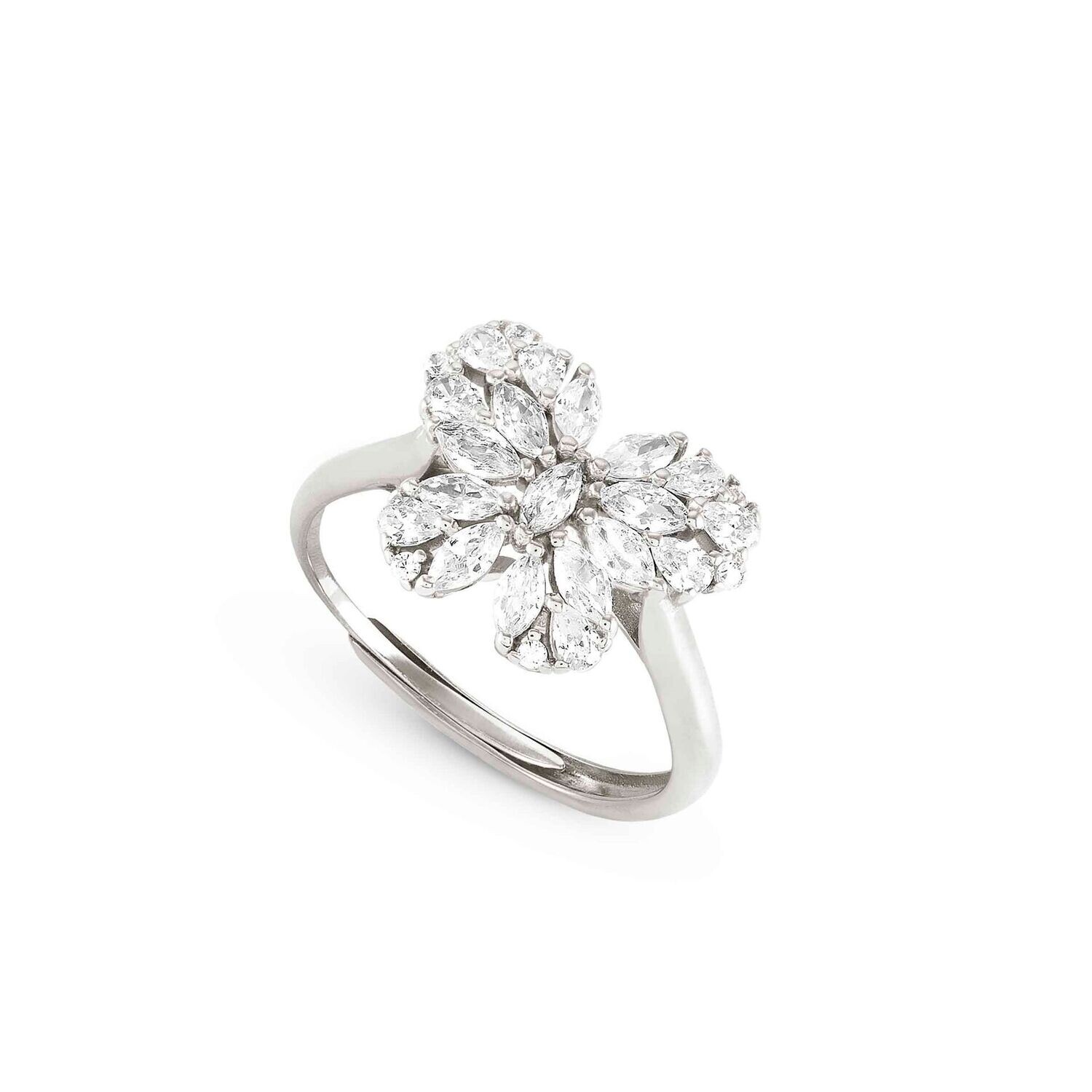 ANILLO NOMINATION