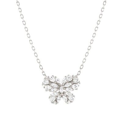 COLLAR NOMINATION COLLAR NOMINATION