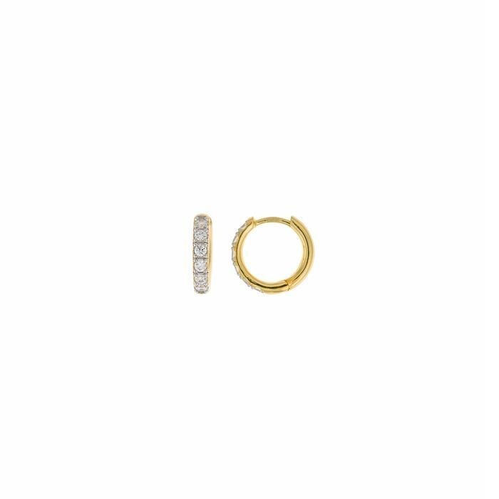 Pendientes Salvatore Mujer Aro Plata Baño Oro y Circonitas Blancas