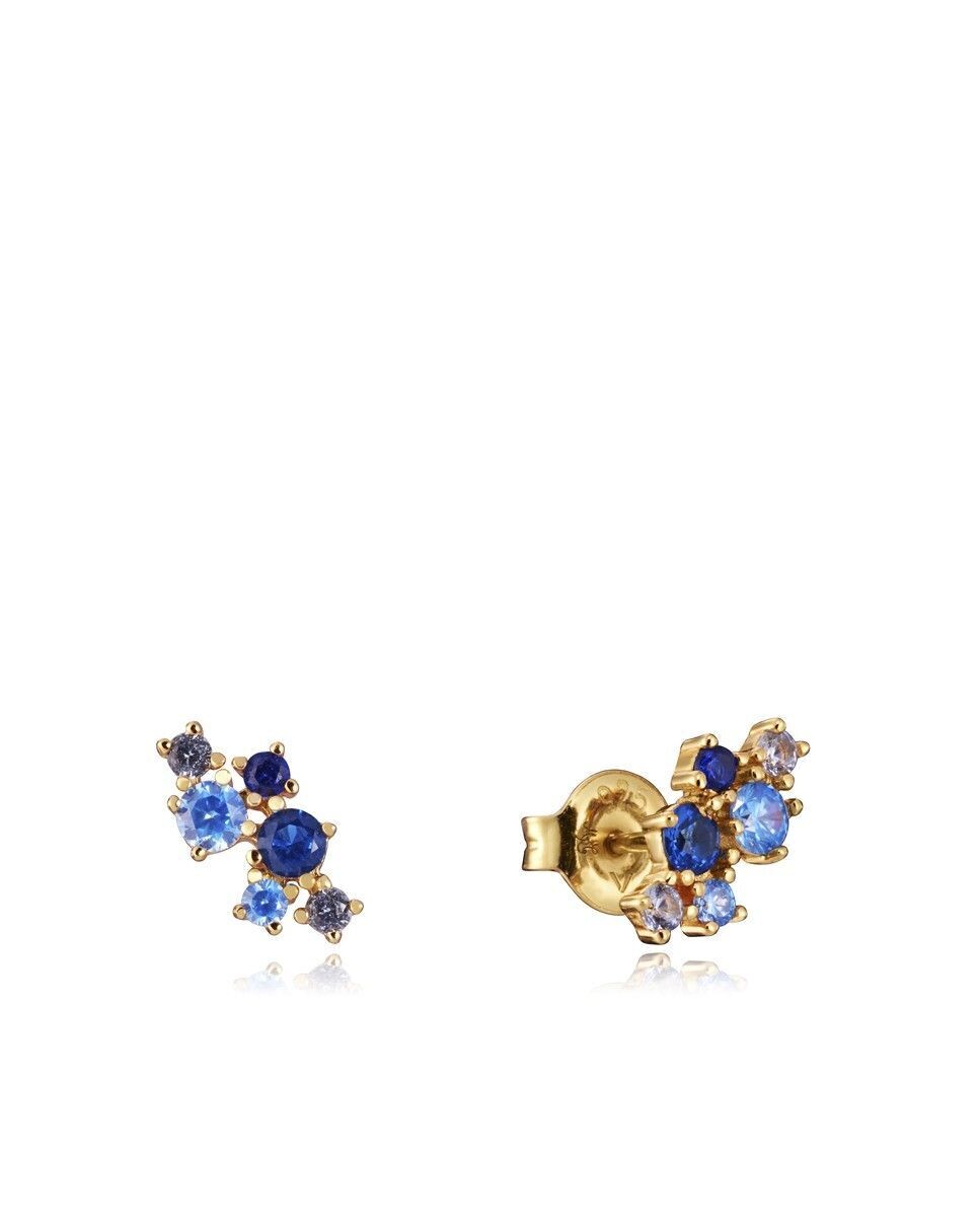 Pendientes  Viceroy Trend de plata de ley