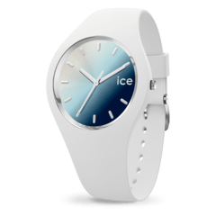 RELOJ ICE WATCH