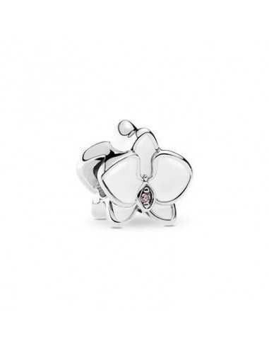 CHARM PANDORA