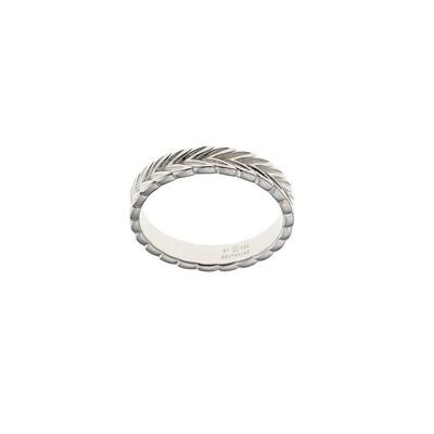 ANILLO SALVATORE