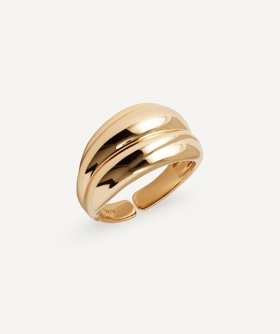 Anillo Curva