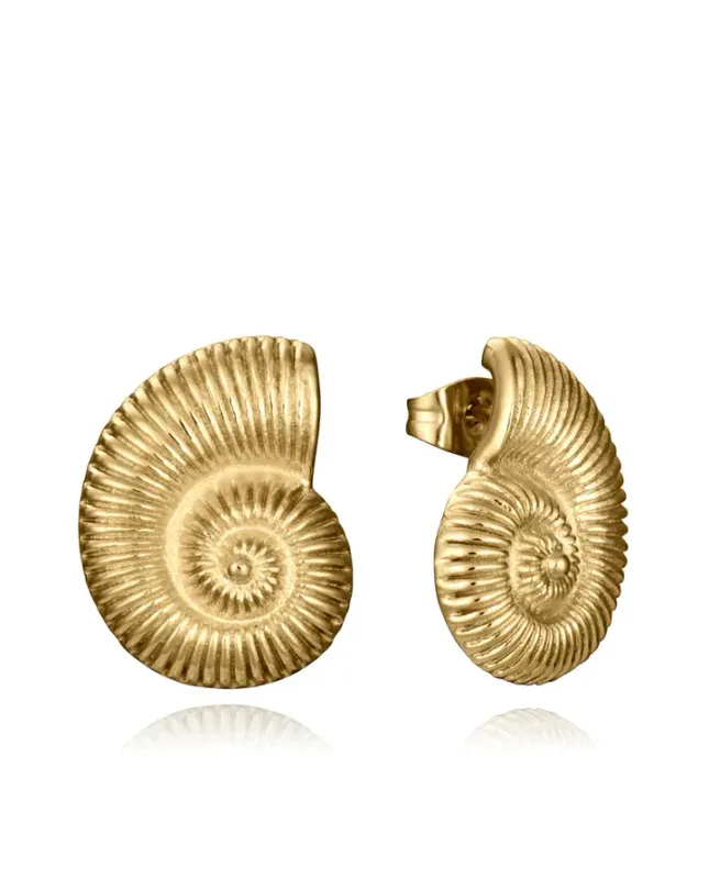 Pendientes de mujer de acero Ip dorado forma de caracol de mar