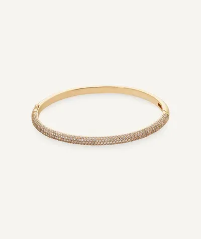 Brazalete rígido Allure con circonitas