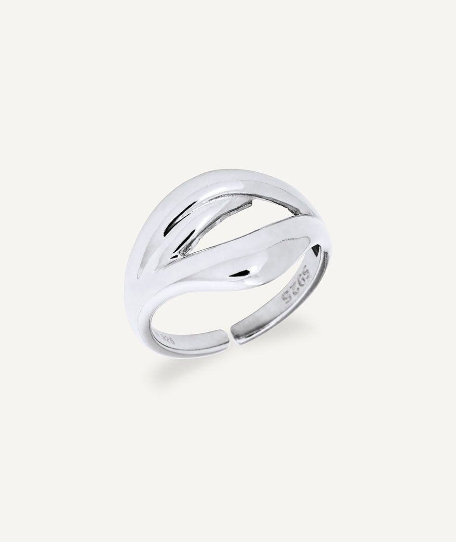 Anillo tiras Reclass Anillo tiras Reclass