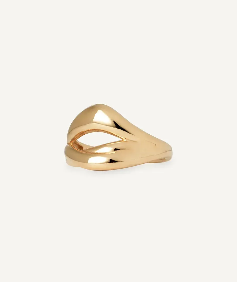 Anillo tiras Reclass Anillo tiras Reclass