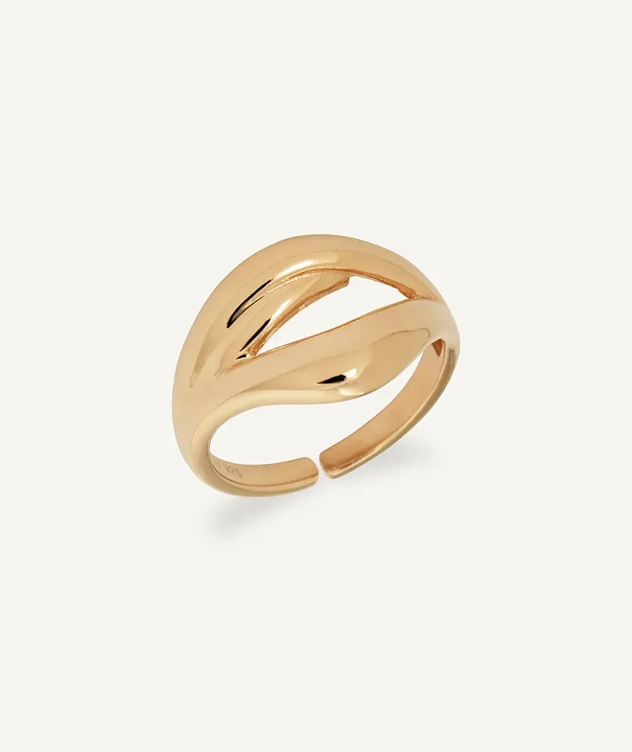 Anillo tiras Reclass