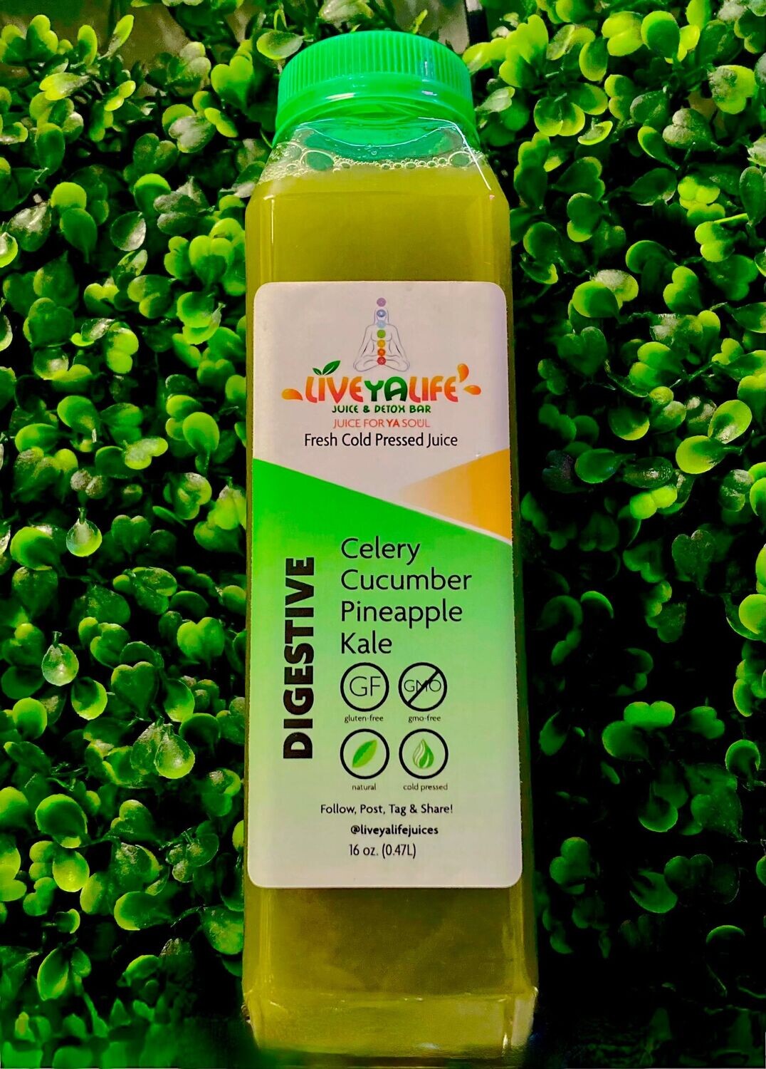 Digestive - Celery, Cucumber, Pineapple & Kale