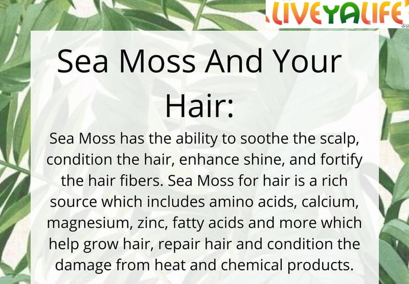 Seamoss Hair Growth Oil-4oz