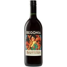 Begonia Sangria - 1.0LT