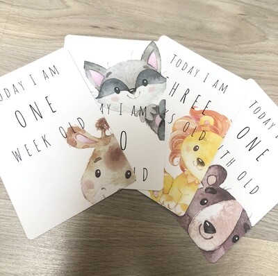 Milestone &amp; Moments Cards ~ My First Year