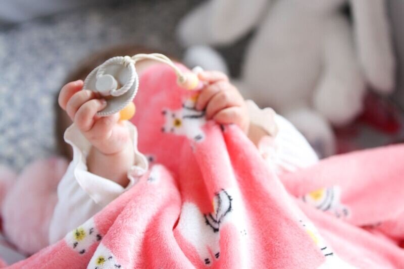 “Baby Llamas” Coral Fleece Blanket