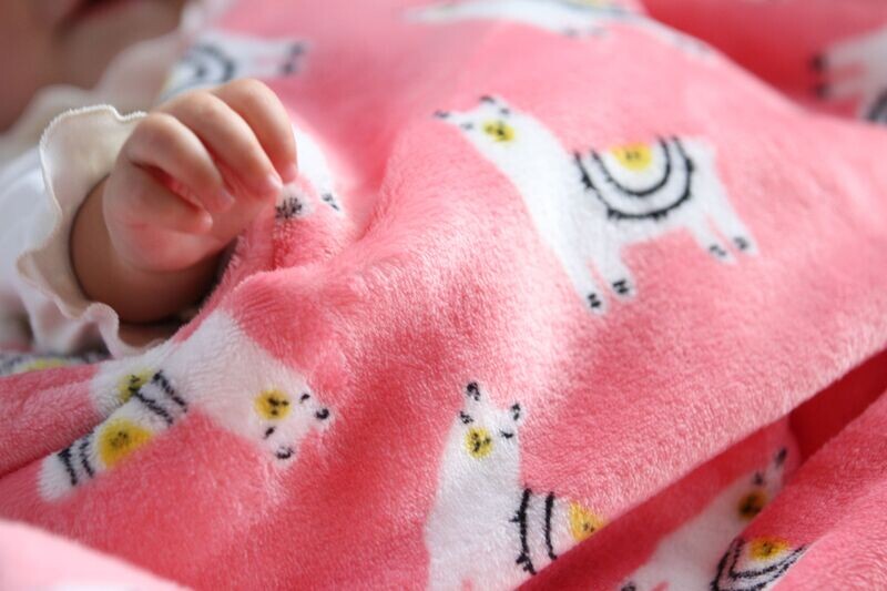 “Baby Llamas” Coral Fleece Blanket