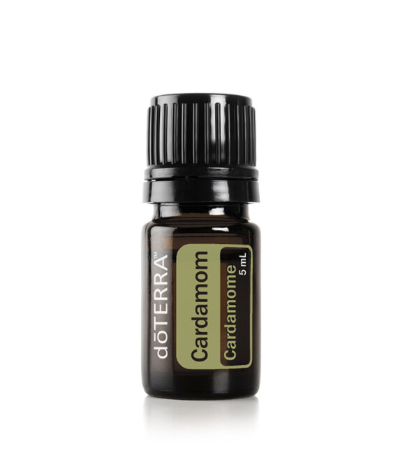 Cardamome &quot;Elettaria cardamomum&quot;