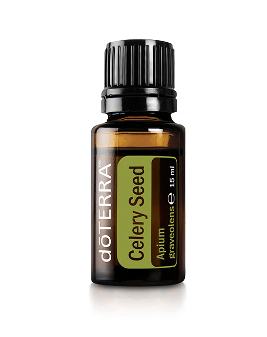 Céleri &quot;Apium graveolens L.&quot;