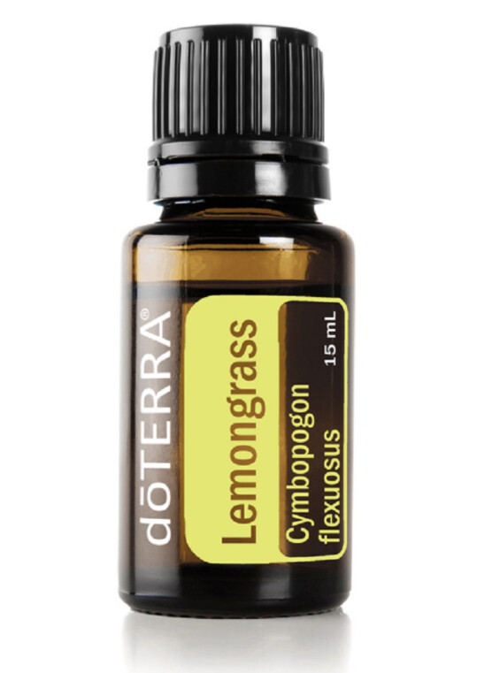 Citronnelle &quot;Cymbopogon flexuosus&quot;