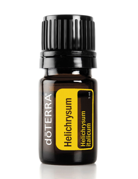 Hélichryse italienne ou Immortelle  &quot;Helichrysum italicum&quot;