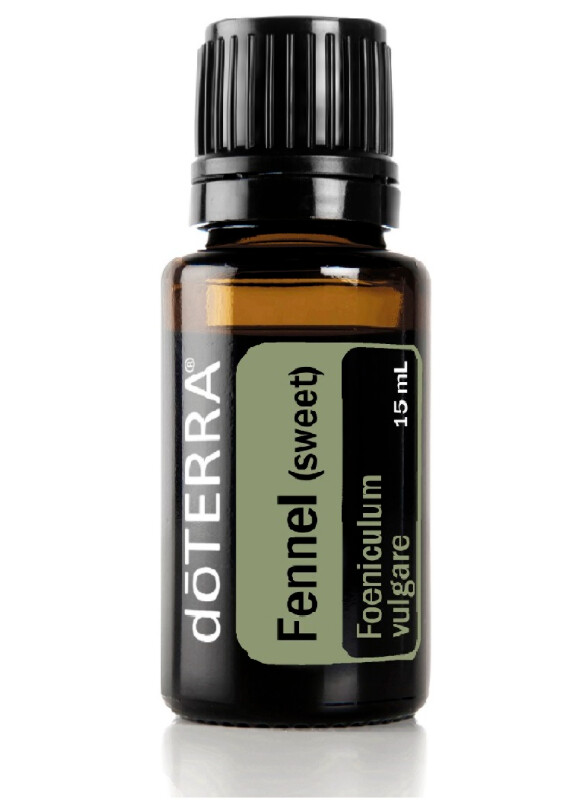 Fenouil doux &quot;Foeniculum vulgare&quot;