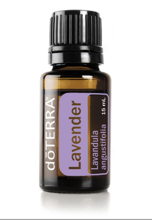 Lavande &quot;Lavandula angustifolia&quot;