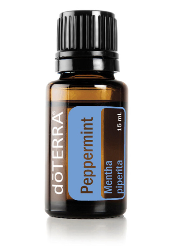 Menthe poivrée &quot;Mentha piperita&quot;