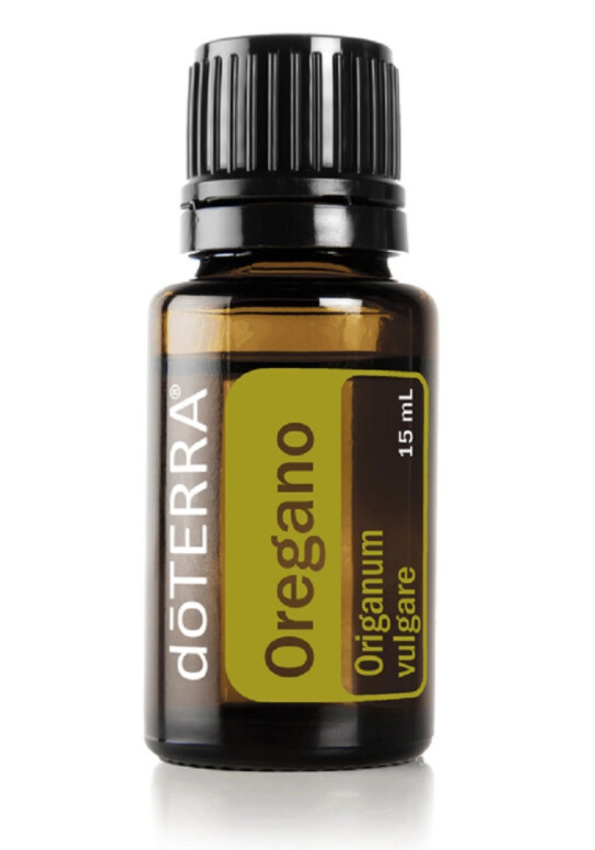 Origan &quot;Origanum vulgare&quot;