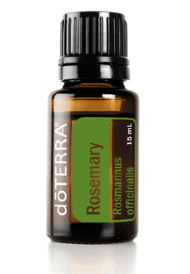 Romarin &quot;Rosmarinus officinalis&quot;