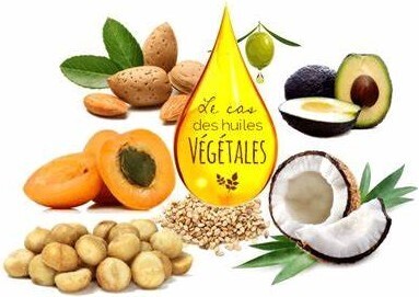 Argan &quot;Argania spinosa&quot;