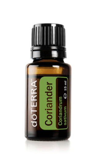 Graine de Coriandre &quot;Coriandrum sativum&quot;