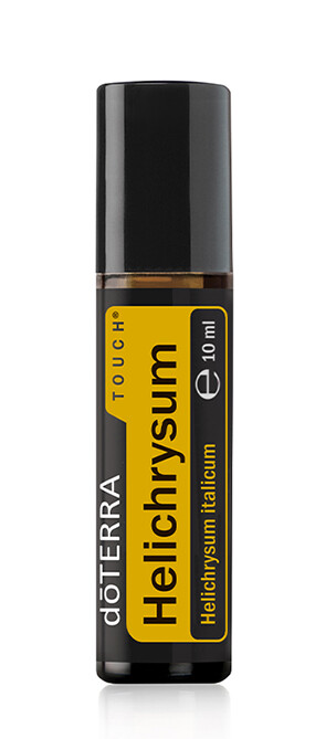 Hélichryse italienne ou Immortelle TOUCH &quot;Helichrysum italicum&quot;