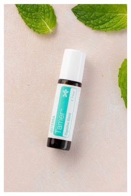 Tamer TOUCH (digestion - enfant)