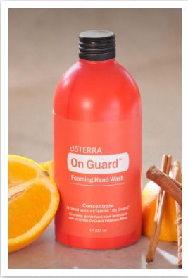 On Guard Lave-Main Moussant