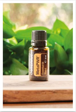 Synergie MétaPWR