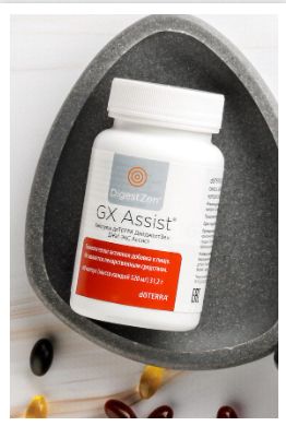 GX Assist