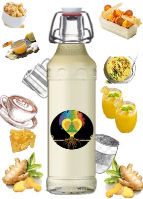 Sirop gingembre