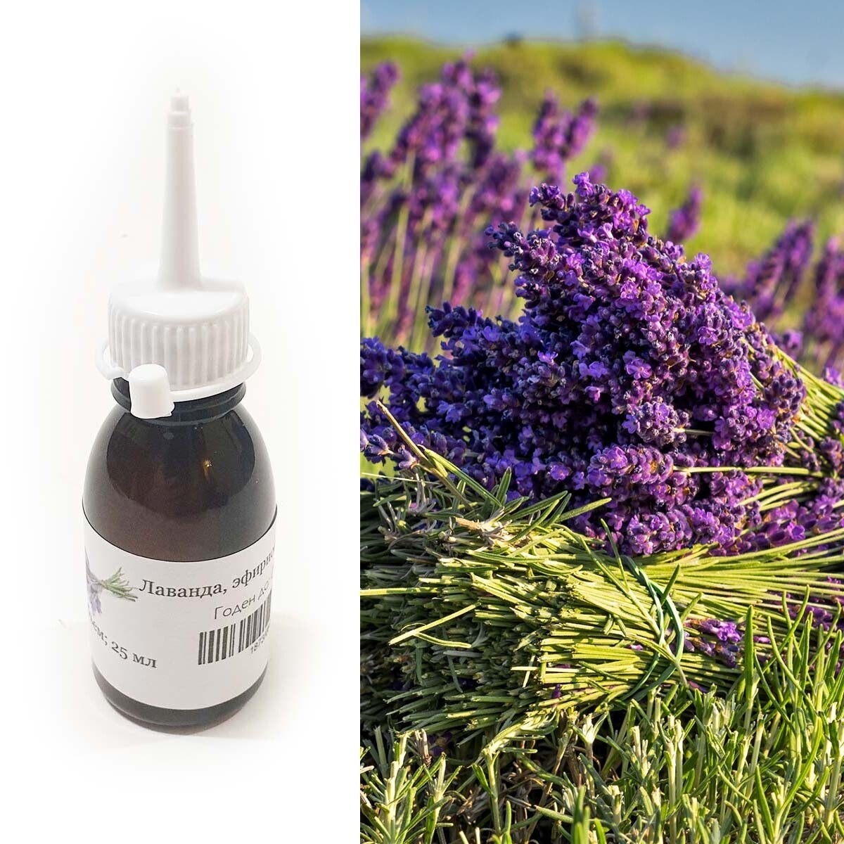 масло лаванды отзывы. хемани. масло лаванда 25мл эфирное.