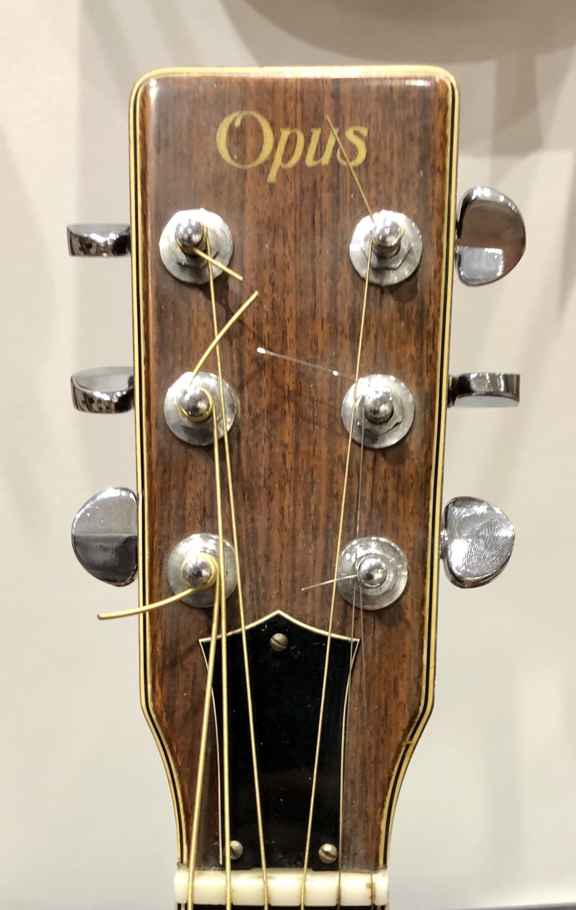 Harmony top opus guitar