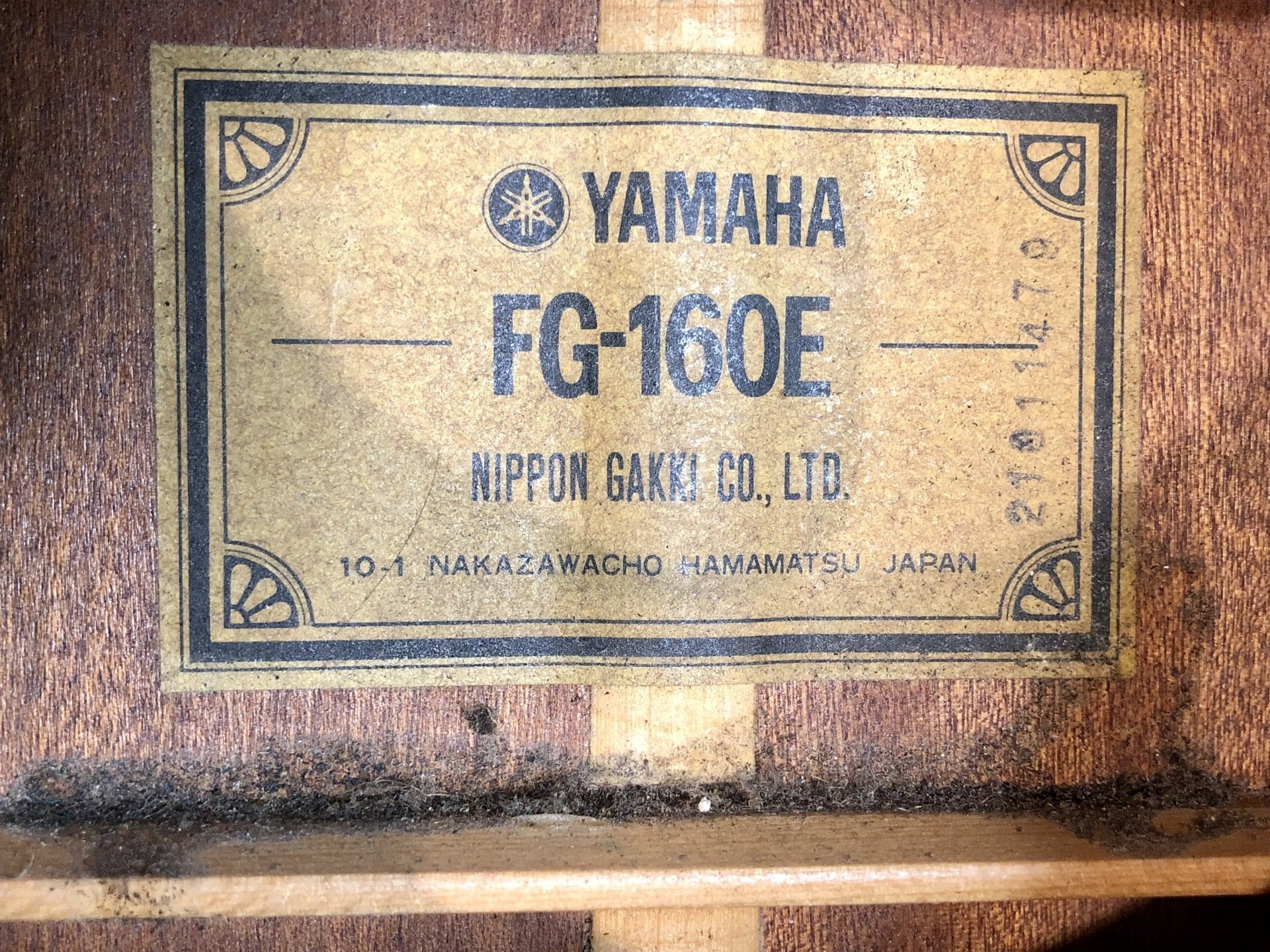 Yamaha fg160e 2024