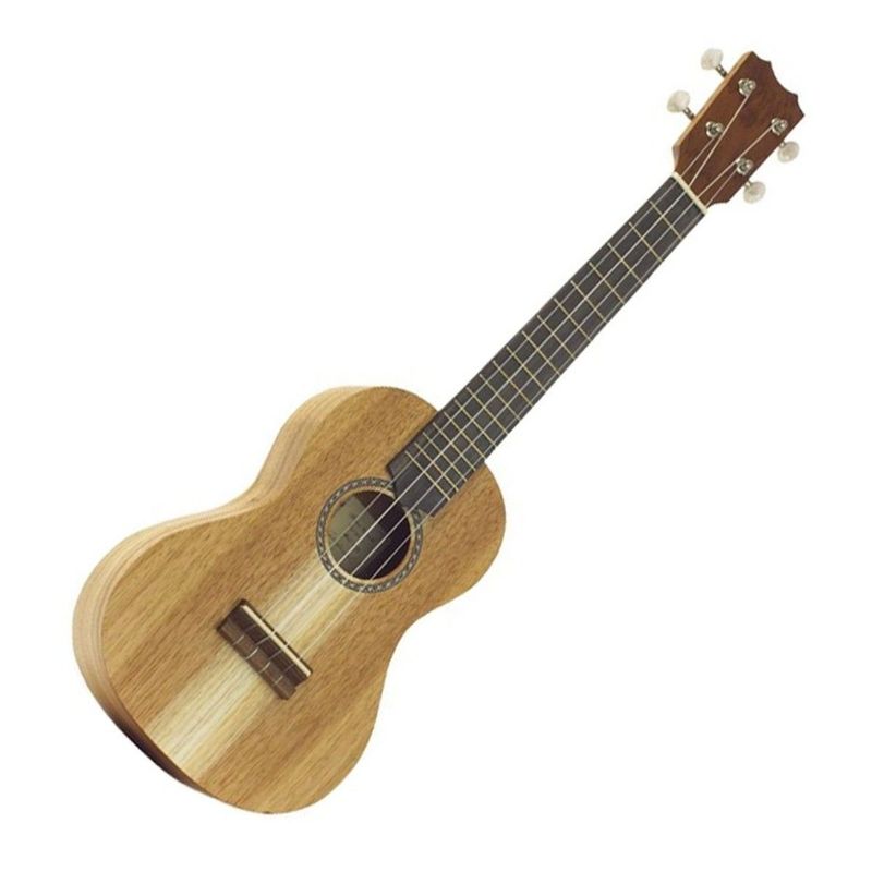 ​Antonio Carvalho Concert Ukulele