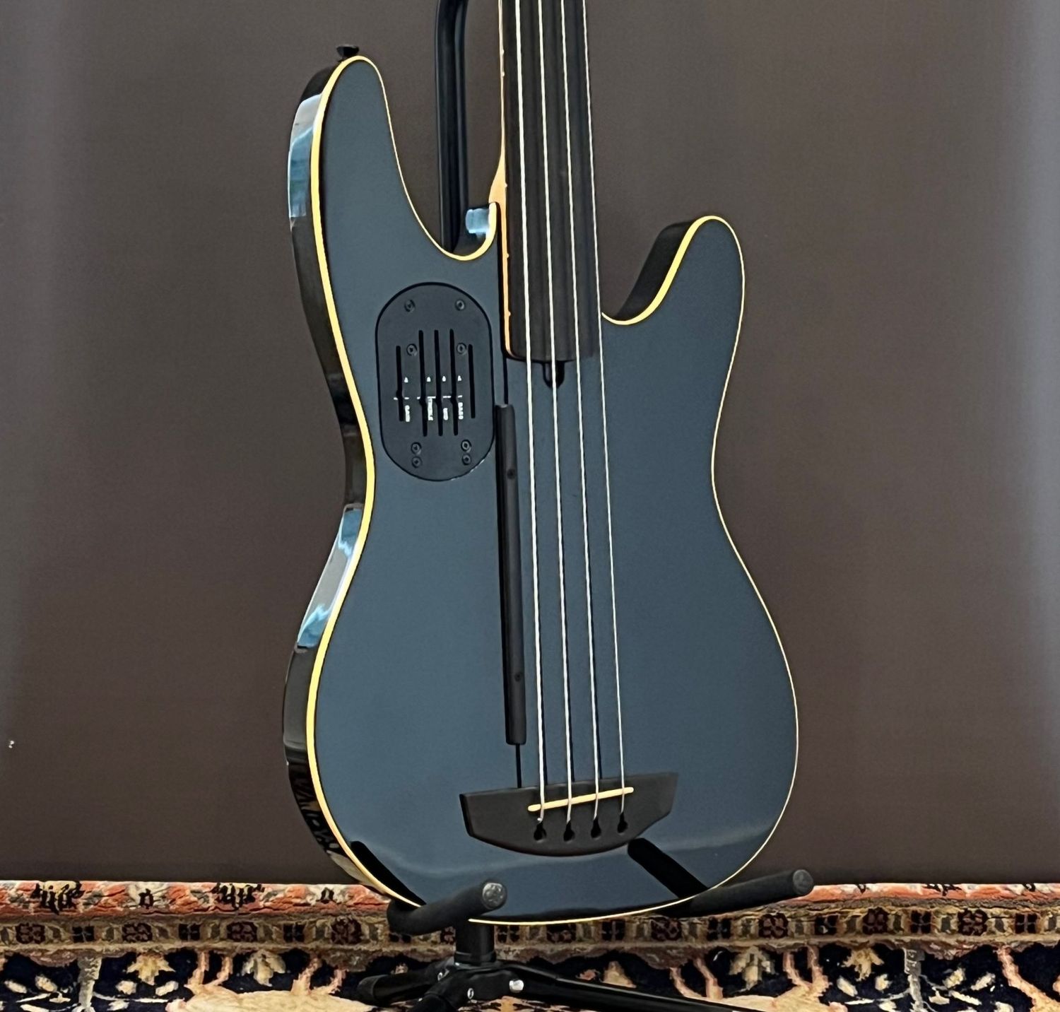 Godin LR Baggs Fretless Acoustibass