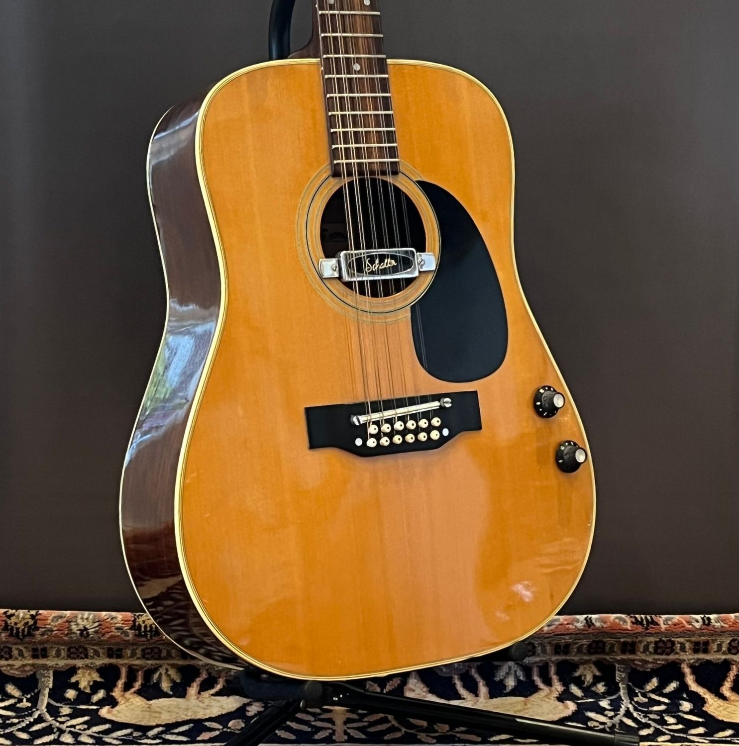1970s Fender F-55-12 (Made in Japan)