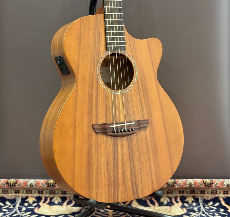 Faith Naked Venus Electro Cutaway - Trembessi / Honey Stain