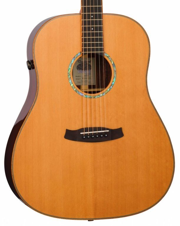 Tanglewood Rosewood Smart