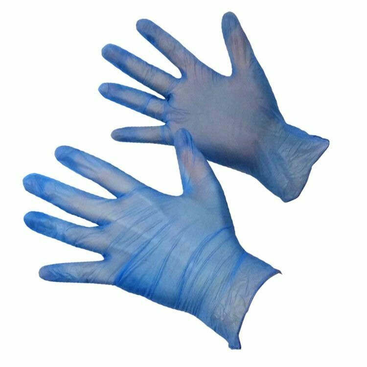 Blue Vinyl Powder Free Gloves