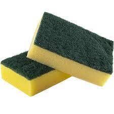 Sponge Scourer